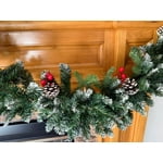 Image 5 of customer photos