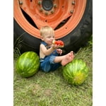 Image 3 of customer photos