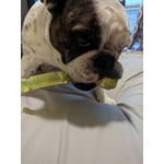 Image 2 of customer photos