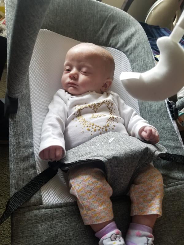 baby delight bouncer