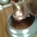 Image 4 of customer photos