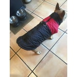 Image 2 of customer photos