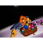 Image 2 of customer photos