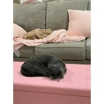 Image 2 of customer photos