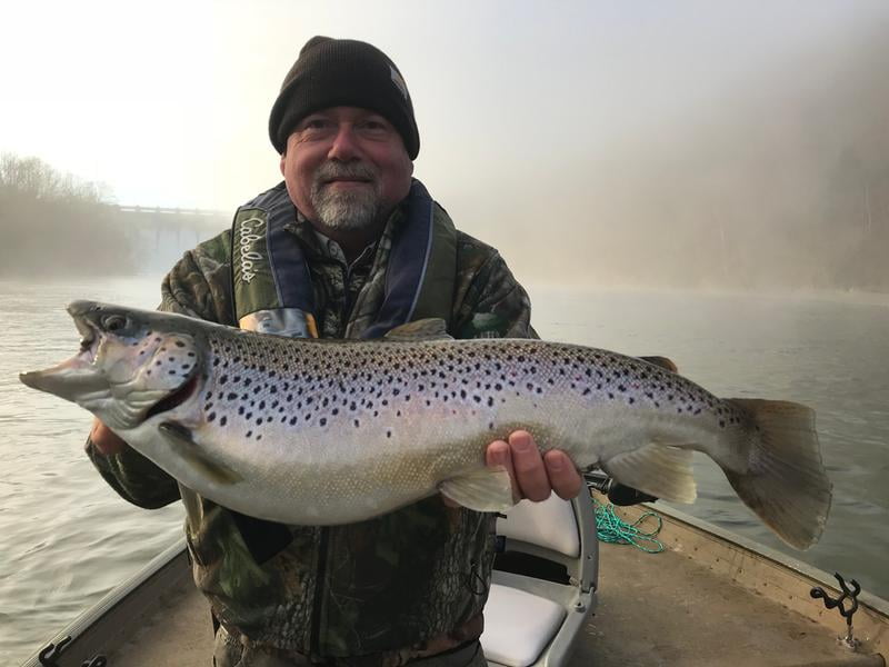 ugly stik for trout fishing