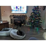 Image 3 of customer photos