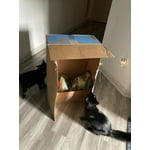 Image 4 of customer photos