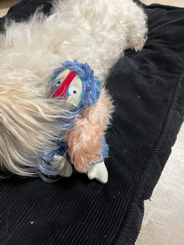 BARK Zeke The Cheeky Monkey Blue White Monkey Dog Toy All Sizes