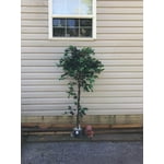 Image 4 of customer photos