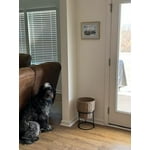 Image 5 of customer photos