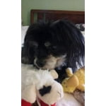 Image 3 of customer photos