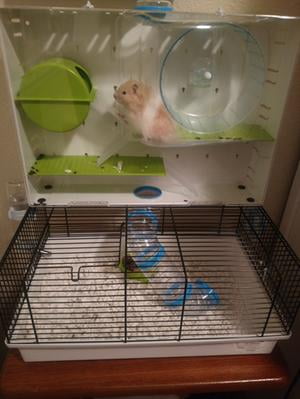 midwest critterville arcade hamster cage