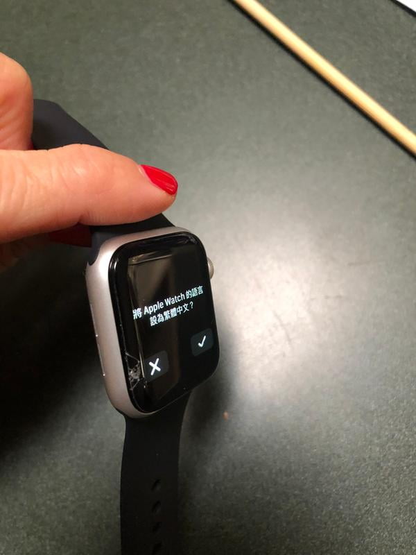 apple watch silver aluminum case with seashell sport loop