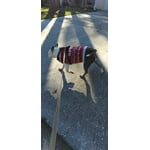 Image 1 of customer photos