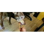 Image 6 of customer photos