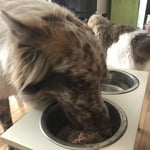 Image 3 of customer photos