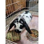 Image 5 of customer photos