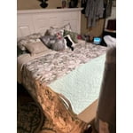 Image 2 of customer photos