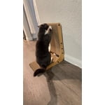 Image 6 of customer photos