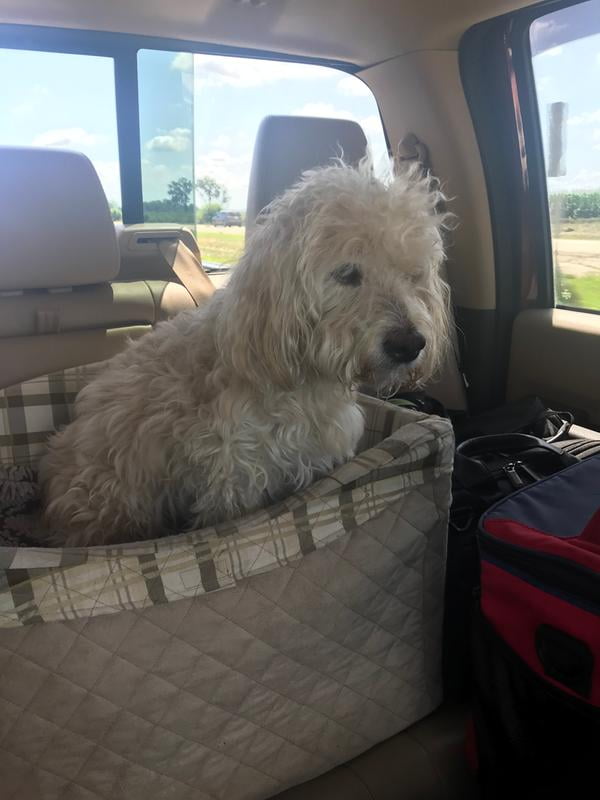 Comsmart Warm Paw Print Blanket Bed Cover For Dogs And Cats 6 Pack