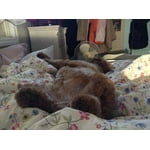 Image 4 of customer photos