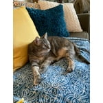 Image 6 of customer photos