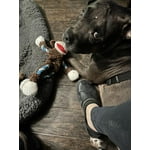 Image 5 of customer photos