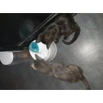 Image 2 of customer photos