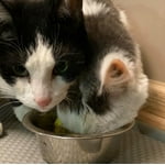 Image 5 of customer photos