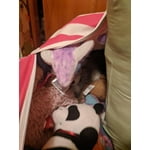 Image 6 of customer photos