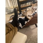 Image 1 of customer photos