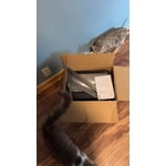 Image 7 of customer photos