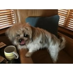 Image 2 of customer photos