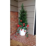Image 2 of customer photos