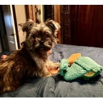 Image 6 of customer photos