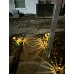 Image 5 of customer photos