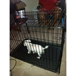 Image 6 of customer photos