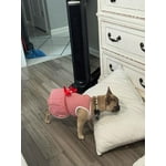 Image 2 of customer photos