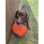 Image 3 of customer photos