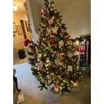 Image 7 of customer photos