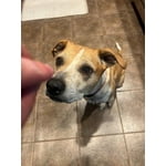 Image 7 of customer photos