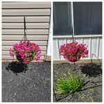 Image 3 of customer photos