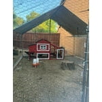 Image 2 of customer photos