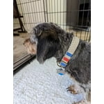 Image 5 of customer photos