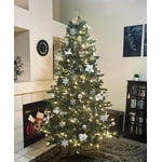 Image 5 of customer photos