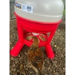 Image 2 of customer photos