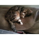 Image 4 of customer photos