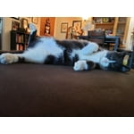 Image 3 of customer photos