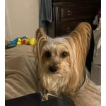 Image 6 of customer photos