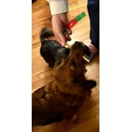 Image 7 of customer photos